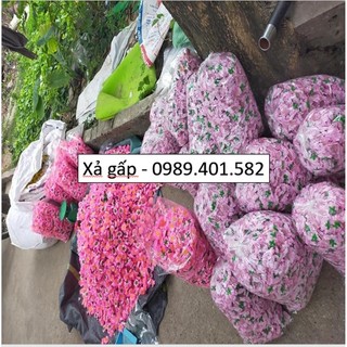 1 kg hoa mai, hoa đào giả trang trí tết loại đẹp