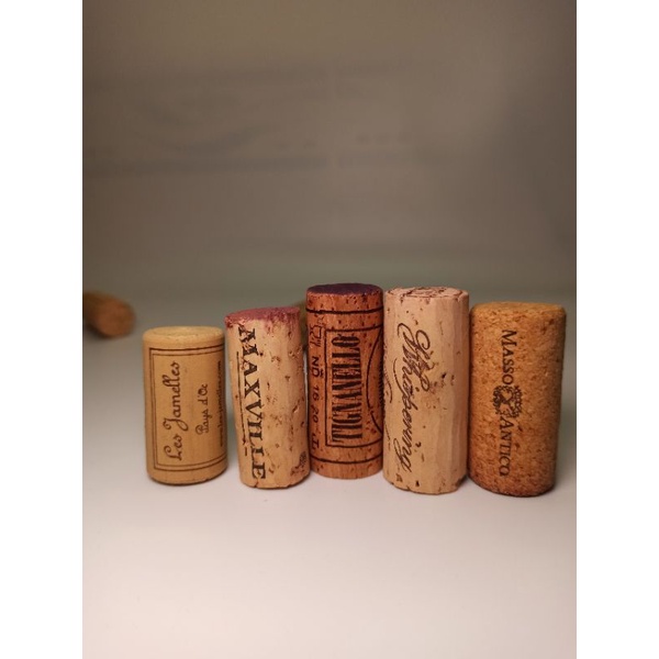 Nút chai Vang xịn sò decor