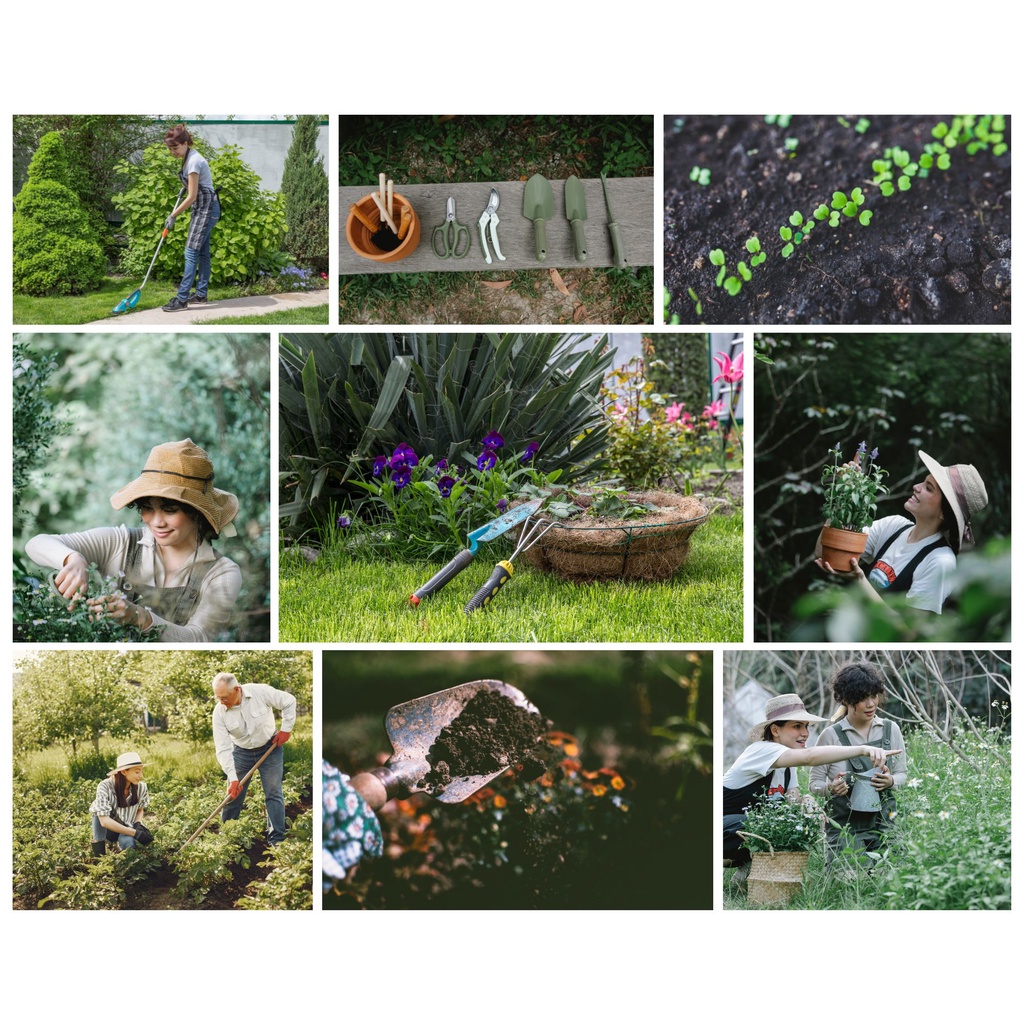 Phân bón lá vi lượng FETRILON-COMBI 2,5g