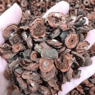 Quả Sung Sấy Sấy Khô 500g (Thơm, Sạch)