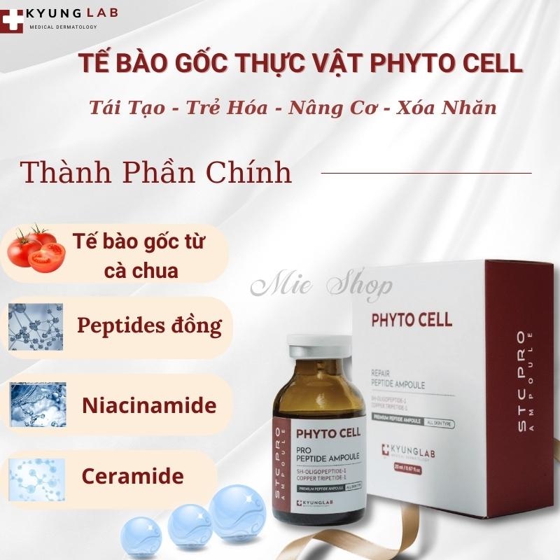 Tế bào gốc ,Phyto Cell Ampoule Kyung Lab ,tế bào gốc tái tạo da giúp cải thiện nếp nhăn, phục hồi trẻ hóa da | BigBuy360 - bigbuy360.vn