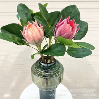 Hoa hoàng đế