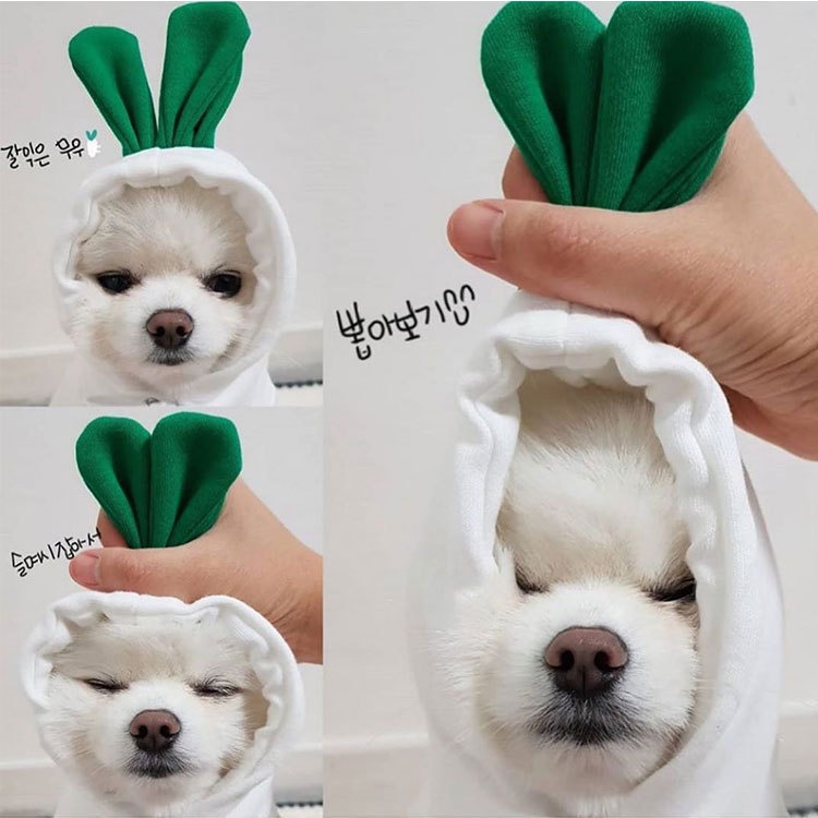 Áo Nỉ Có Mũ Trùm Hình Củ Cải Màu Trắng Phong Cách Giáng Sinh Mới Dành Cho Chó Mèo