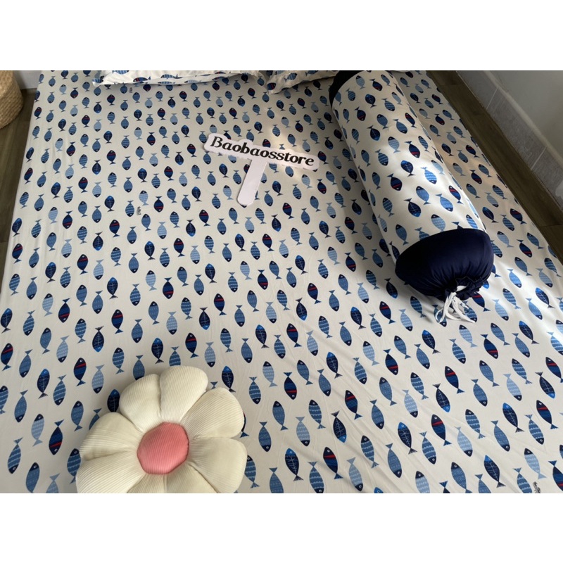 Bộ drap thun mẫu cá nhí