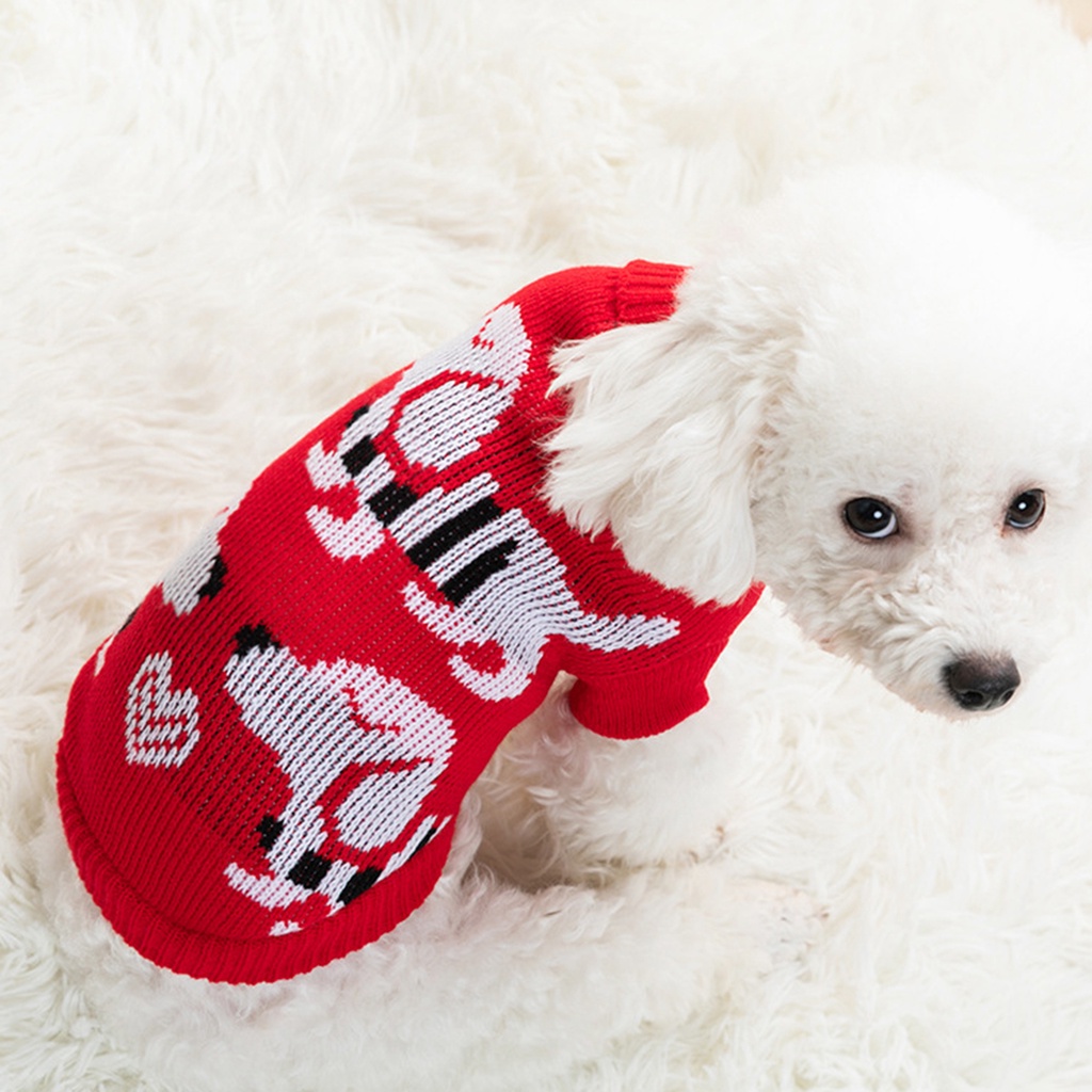 Áo Len Giữ Ấm Cho Thú Cưng Bomei Teddy Fadou Corgi