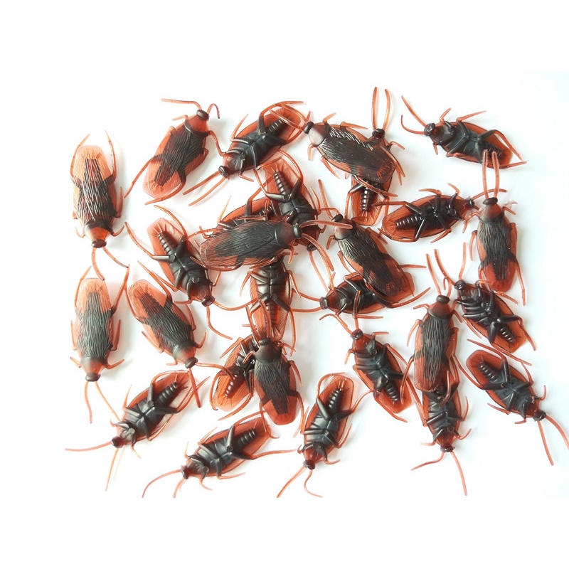 Côn Trùng Giả Như Thật, Đồ Chơi Gián Giả Như Thật