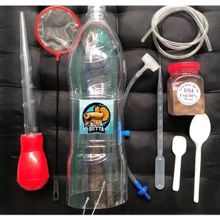 Combo Bộ Ấp Artemia Cho Cá Con