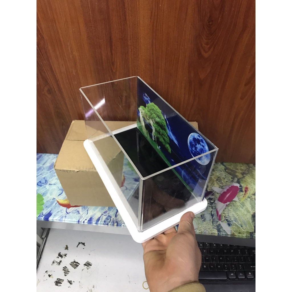 Bể cá thủy sinh mini để bàn chất liệu mica mẫu trăng 3
