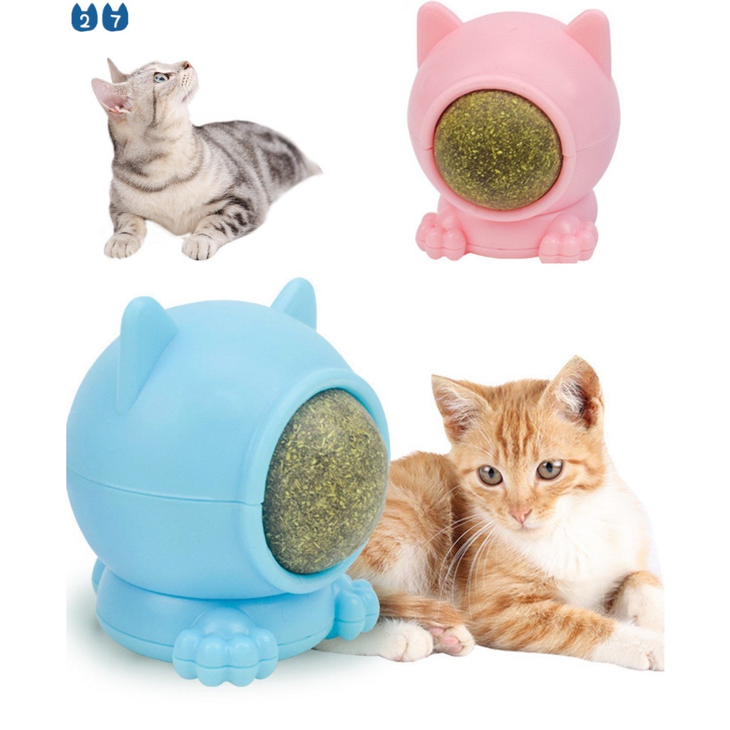 Đồ Chơi Bóng Xoay Bằng Gỗ Đa Giác Làm Sạch Răng Cho Thú Cưng 27 Món