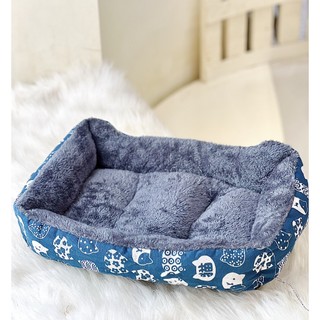 Nệm vuông cho boss yêu - mật pet family