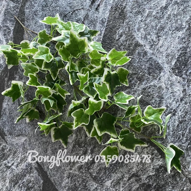 Dây leo giả - cụm lá dây leo giả trang trí decor