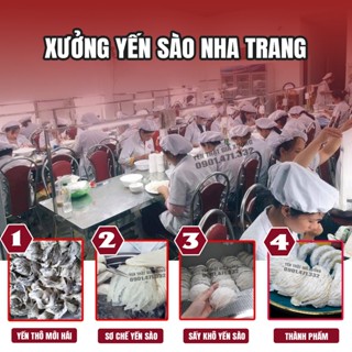 COMBO Tổ Yến Thô + Chân Yến Thô ÍT LÔNG KING NEST_TẶNG NHÍP