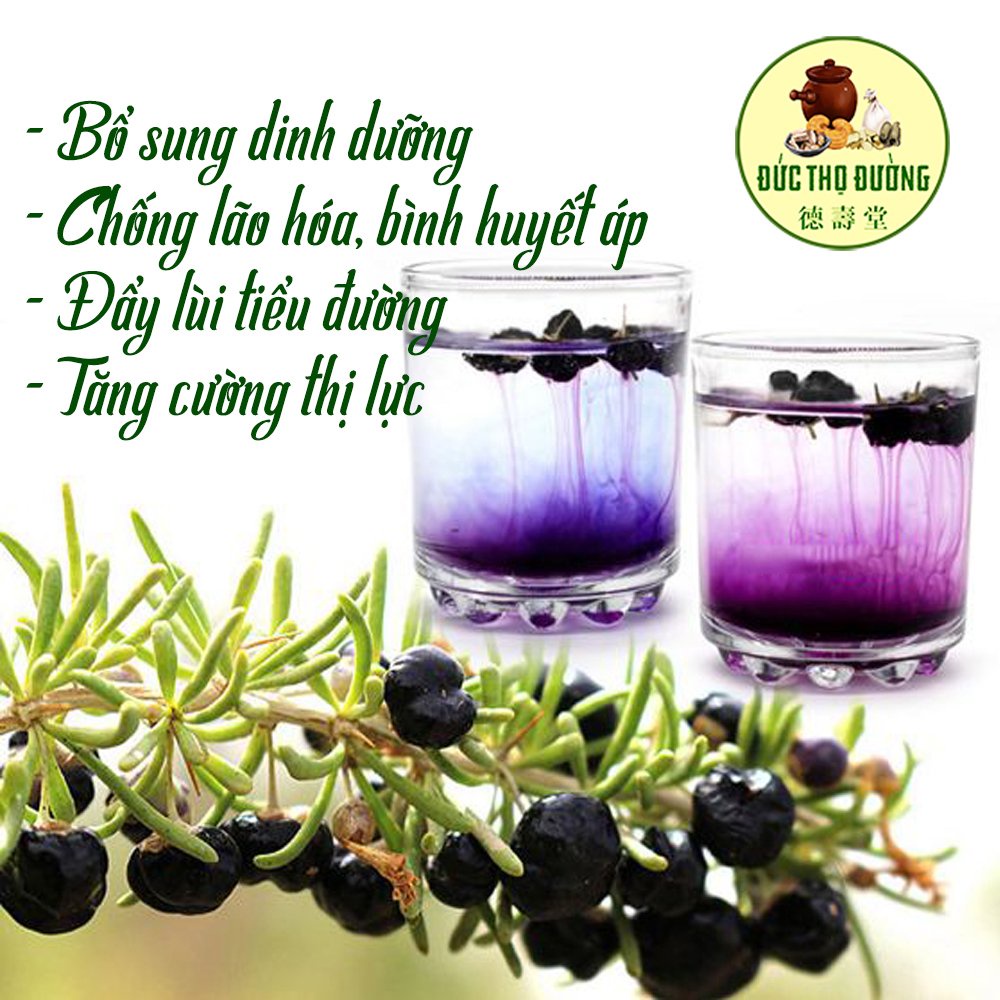 Trà Hắc Kỷ Tử (Bổ sung dinh dưỡng, Giảm cân, Chống lão hóa, Đẩy lùi tiểu đường, Bình huyết áp, Tăng cường thị lực)