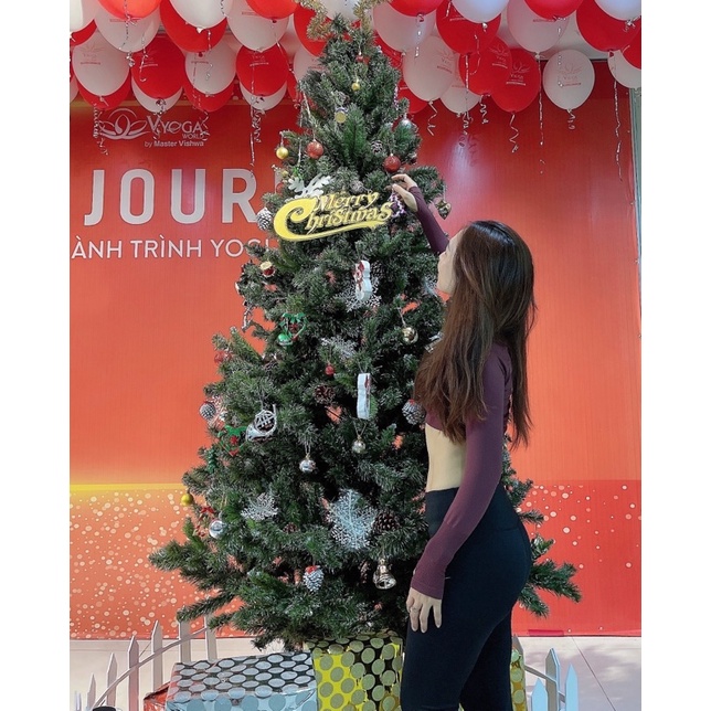 LINK ĐỒ LIVE