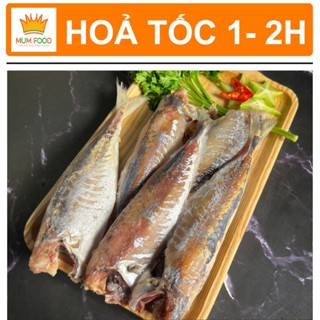 Cá Nục Bỏ Đầu Làm Sạch - Cá Nục Lột Da Một Nắng Size To MUMFOOD