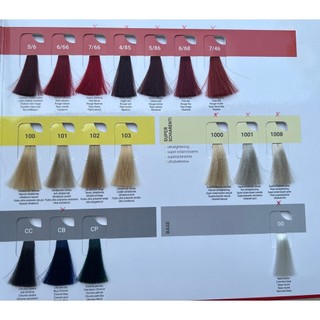 Màu nhuộm nâng tông vitality's 100ml + oxy 100ml + chén cọ nhuộm i made in italia