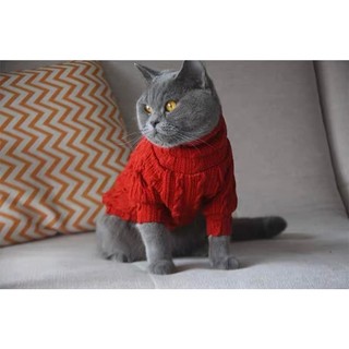Áo len cổ lọ siêu ấm cho chó mèo