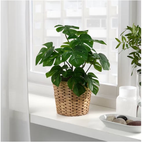 Chậu cây giả FEJKA IKEA chính hãng