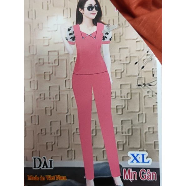 Bộ tay ngắn quần dài thun cotton mịn(CM),mịn gân(MG) dưới 60kg