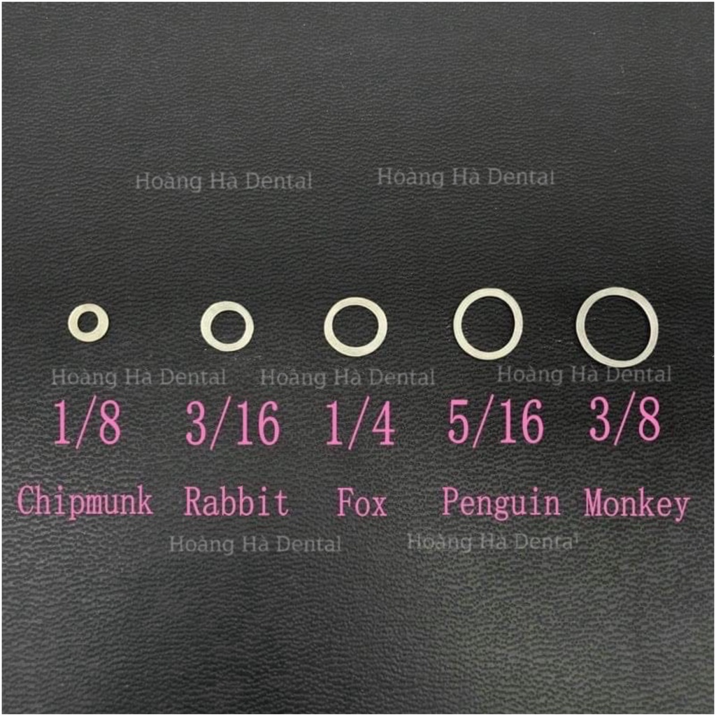 100 chun liên hàm chỉnh nha Chun kéo facemask Chun Kéo niềng răng lực 3.5oz 4.5oz 6.5oz -LC01