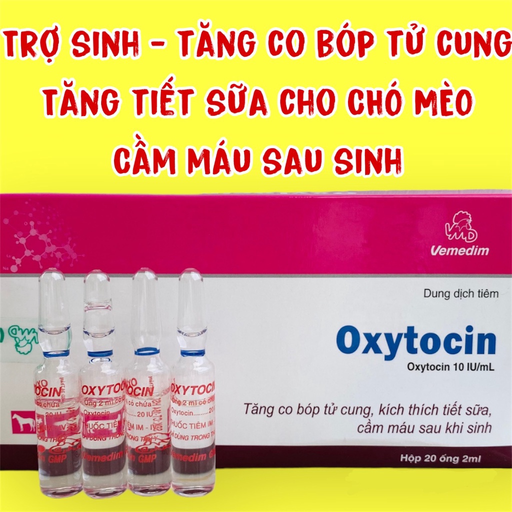 Oxytocin Chó Mèo