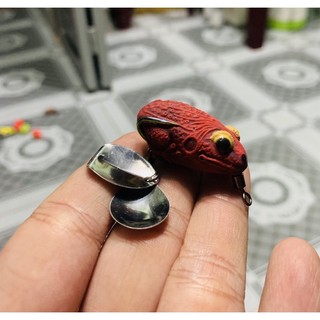 NHÁI HƠI CÓC MINI THÁI 3.5 Cm