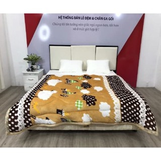 Chăn lông cừu mùa đông loại dày 3 lớp , mền lông cừu dày mềm mại nặng 2,5kg kích thước 1m4x2m