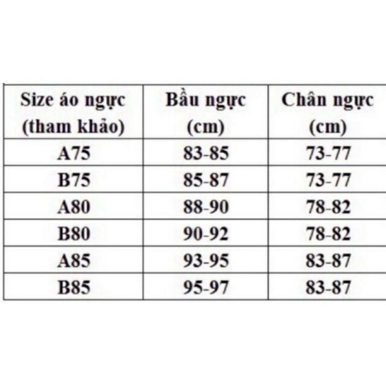 Áo ngực ren SAM SAM Có gọng đệm mút dày 3cm nâng ngực tạo khe