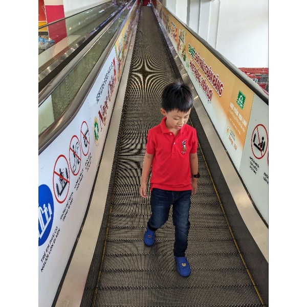 Áo polo đỏ lauren