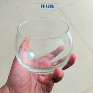 Chậu thủy tinh mini 10cm