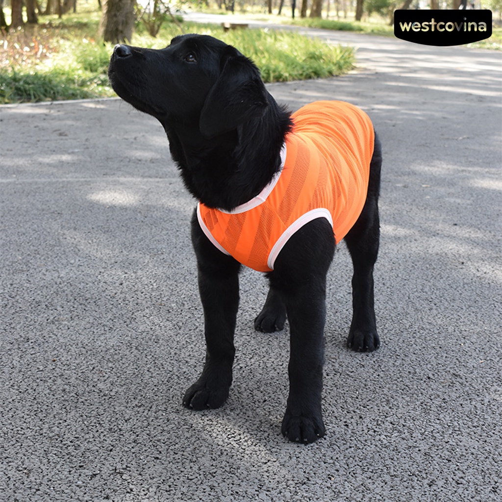 [COD]♘Áo Thun Thể Thao Dạng Lưới Thoáng Khí Cổ Tròn Dành Cho Cún Cưng