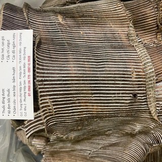100g Đỗ Trọng (Khô, Sạch, Đẹp)