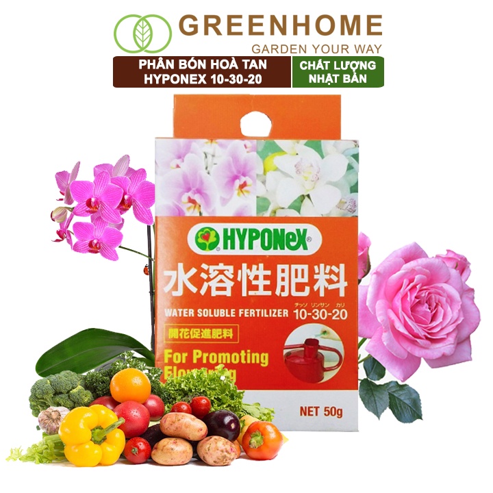 Phân bón hoà tan Greenhome, hyponex NPK 10-30-20, hộp 50gr, kích hoa, thân khoẻ, lâu tàn, rau đậm vị |Greenhome