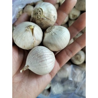 Tỏi cô đơn củ to loại 1- 500g
