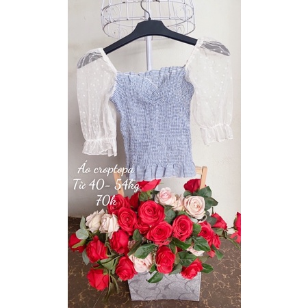 Áo vin thun dáng croptop