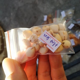 500gr hạt sen khô Đồng Tháp loại 1
