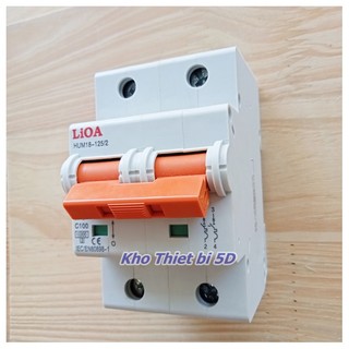 Aptomat - Cầu dao tự động 2P 63A - 100A LiOA/ 10kA Chính hãng