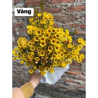Hoa Thanh Liễu