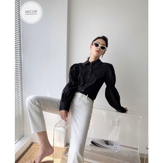 Dr110 - sơ mi dài tay x.e.c.o.p bo chun tay