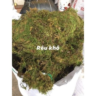 Rêu rừng khô lót ổ cho pet , rắn , ếch, ốc mượn hồn , thằn lằn
