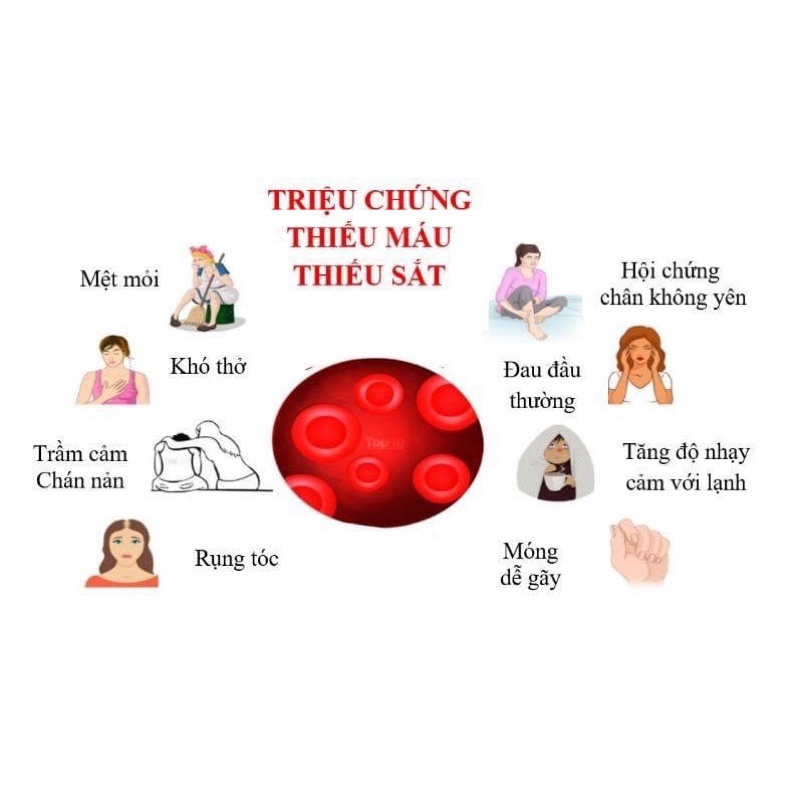 Viên uống bổ sung Sắt Sanotact Eisen Đức