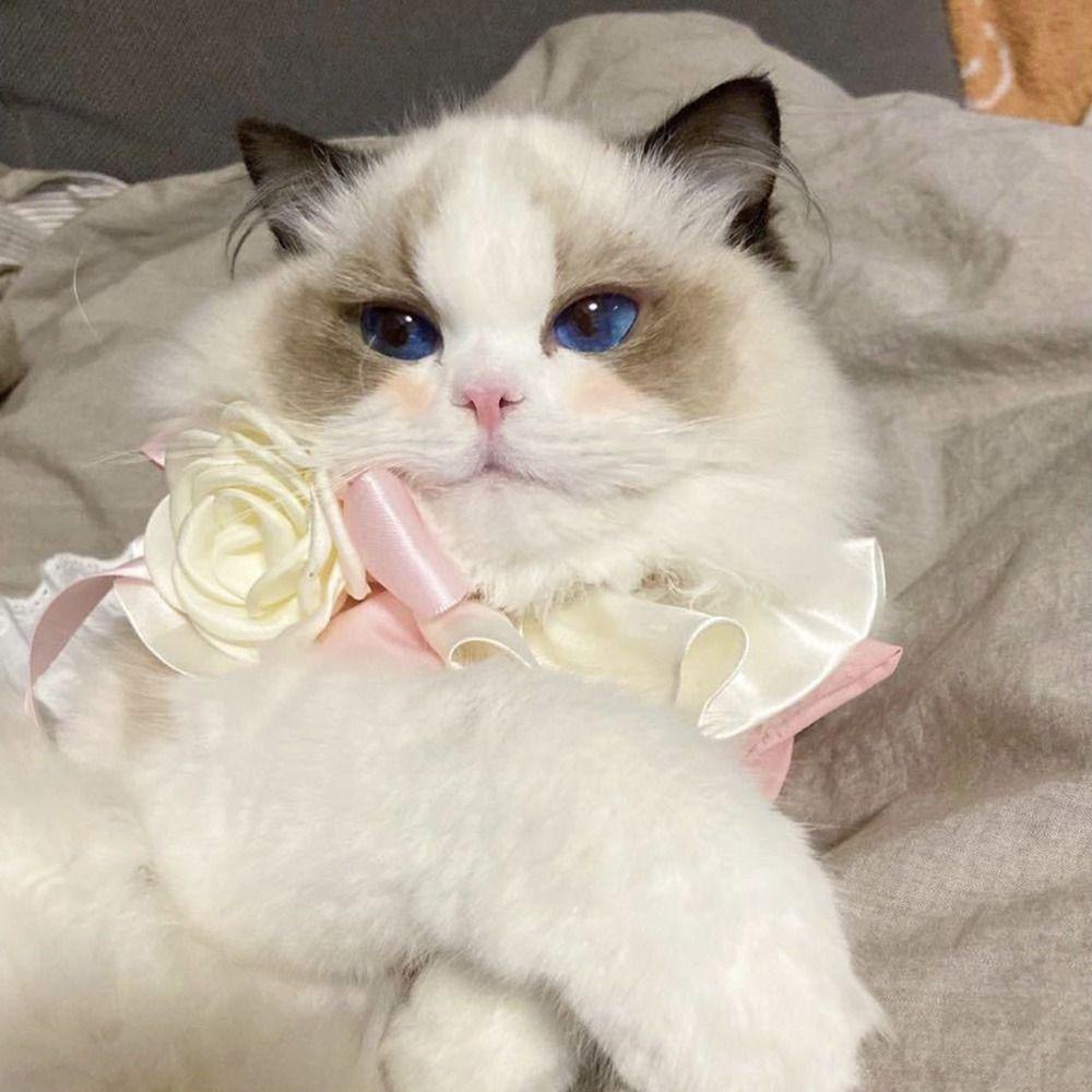 Vòng Cổ TùY ChỉNh ĐíNh Nơ Xinh XắN Cho Thú Cưng