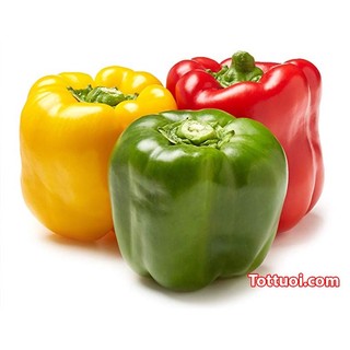 40h hạt giống ớt chuông ngọt mix màu