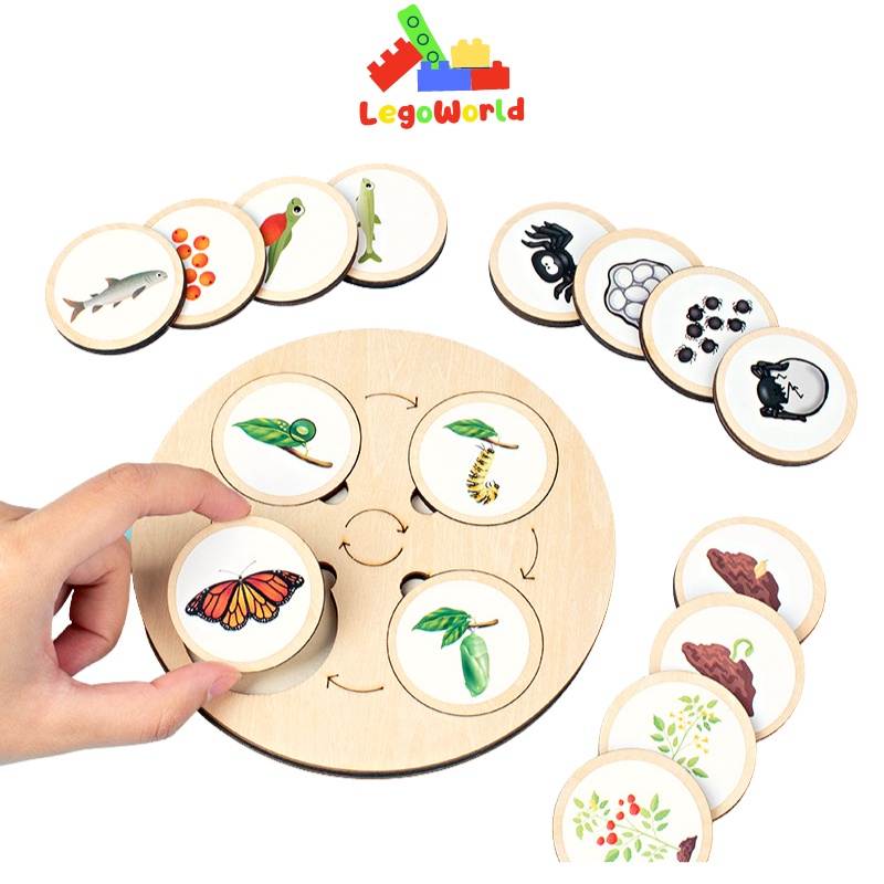 Bộ Đồ Chơi Xếp Hình Vòng Đời Động Vật, Cây Và Côn Trùng, Giúp Phát Triển Trí Tuệ Cho Bé-Đồ Chơi Cho Bé Legoworld