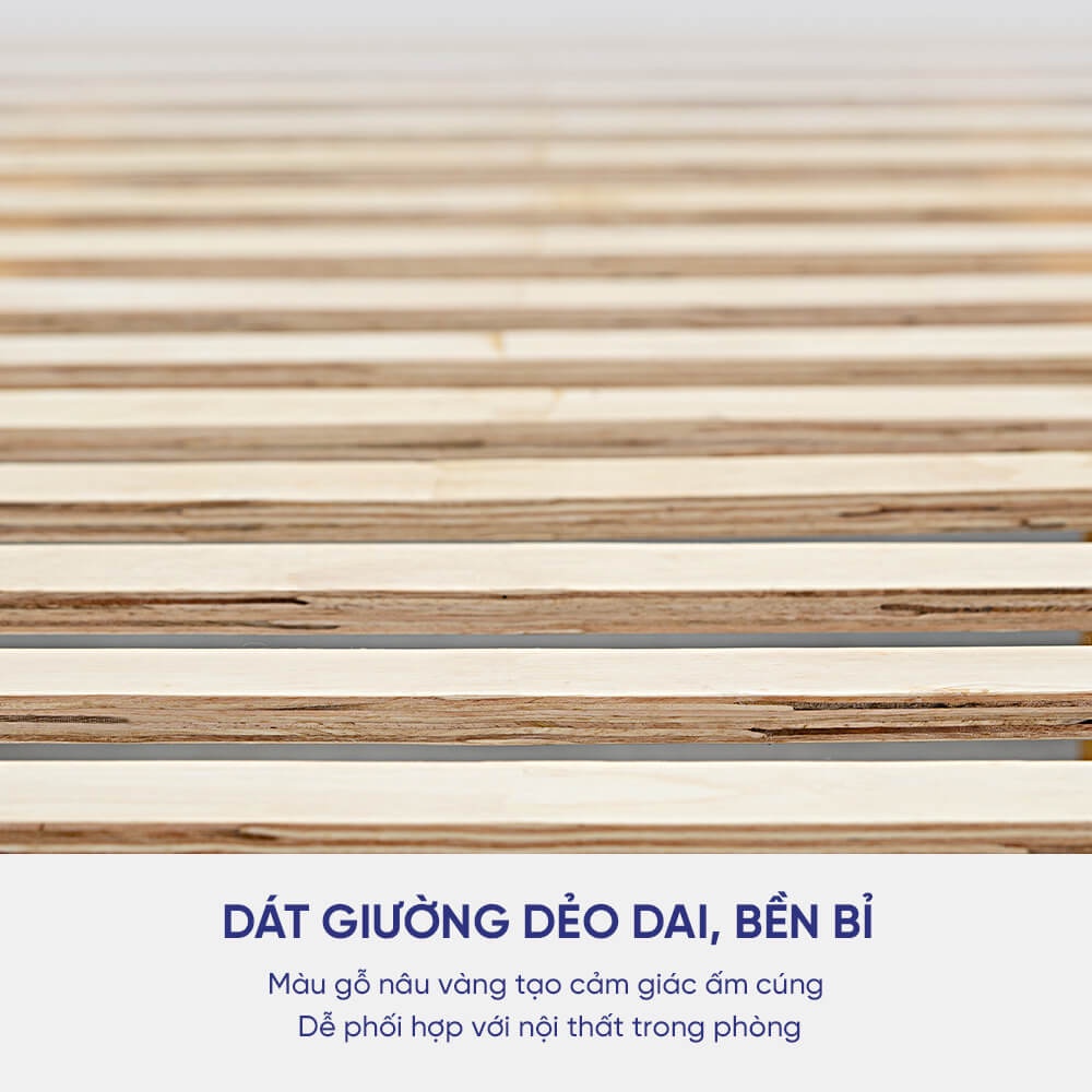 Giường gỗ Tần Bì Amando Hestia nhập khẩu châu Âu, chất lượng bền bỉ, hỗ trợ lắp đặt Hà Nội, Hồ Chí Minh