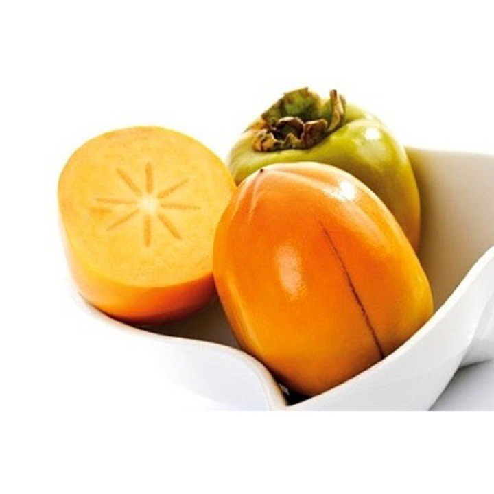 CÂY GIỐNG HỒNG NGÂM KHÔNG HẠT