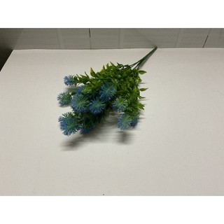 Cành điểm chôm chôm