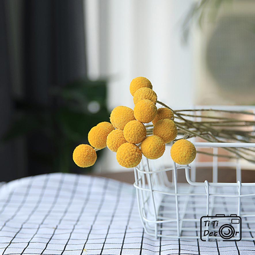 Bó Hoa Cúc PingPong Khô TiTi Decor Hoa Khô Trang Trí Bàn Làm Việc, Decor Phòng Ngủ