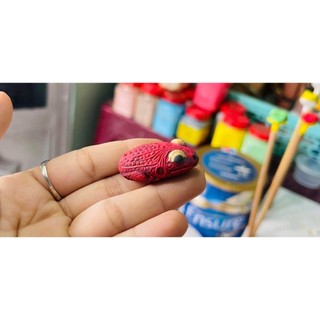 NHÁI HƠI CÓC MINI THÁI 3.5 Cm