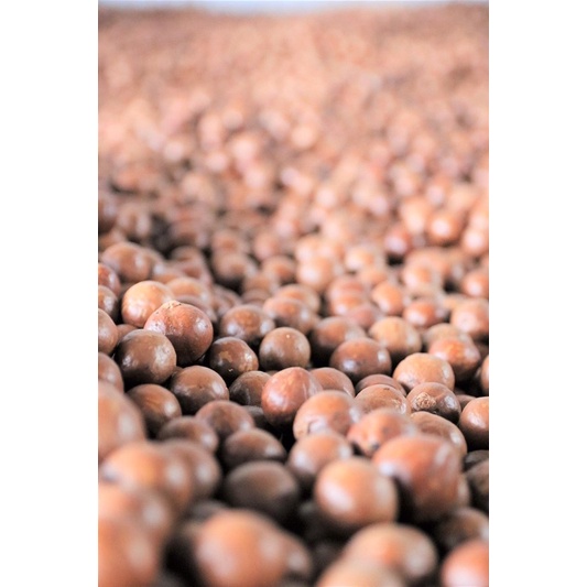 Macca nứt vỏ 500g